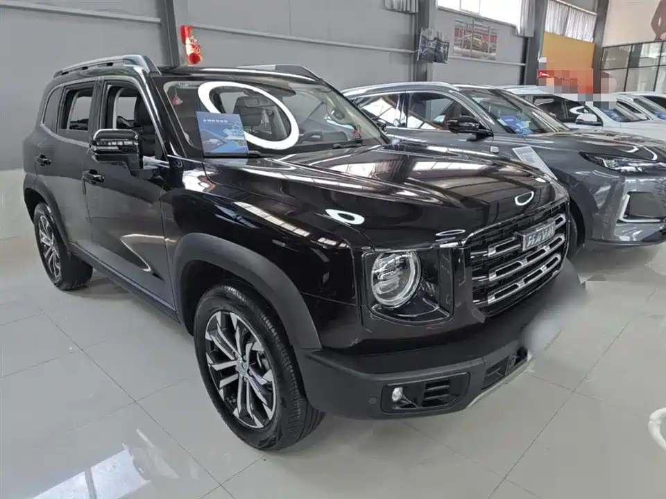 Haval Big dog
