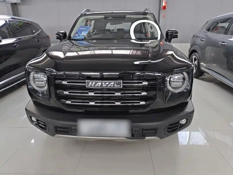 Haval Big dog