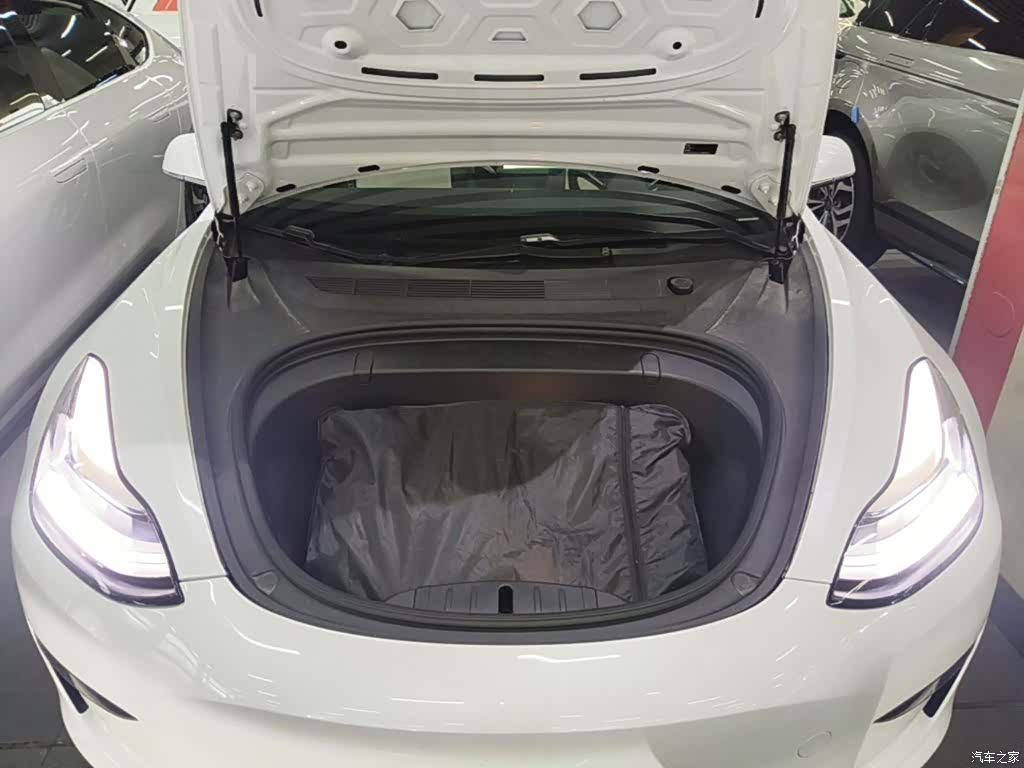 Tesla Model 3, 2020 10