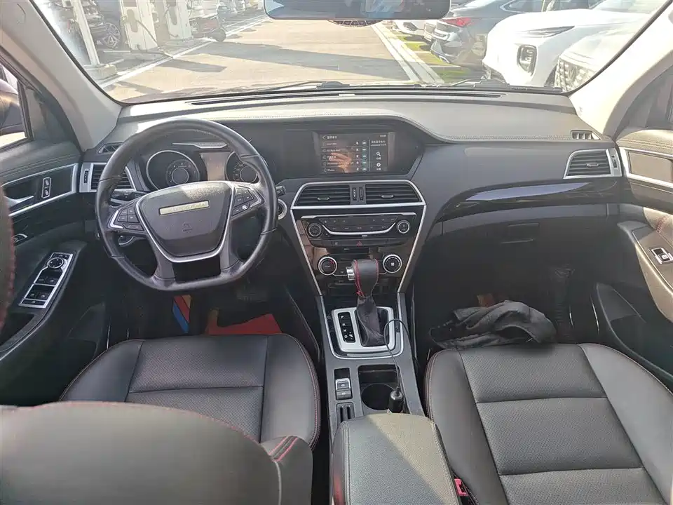 Leopaard Cheetah CS10