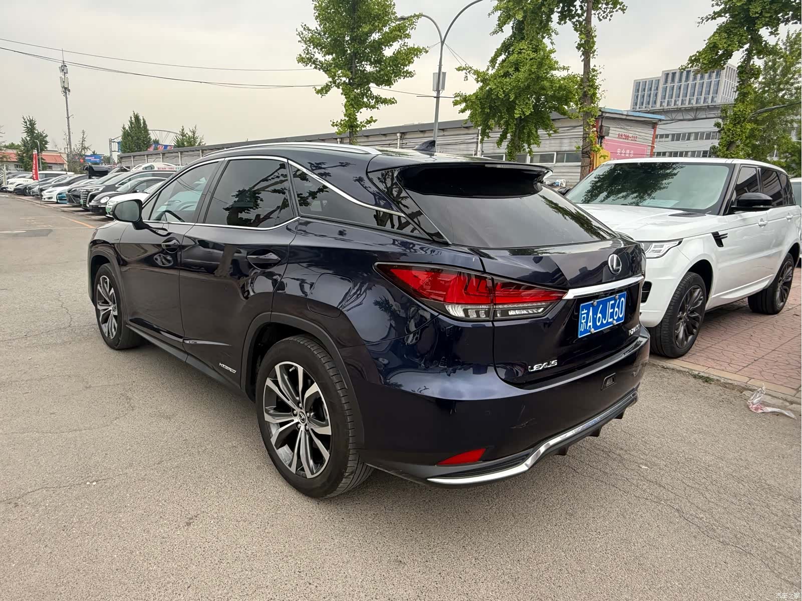 Lexus RX, 2020 13