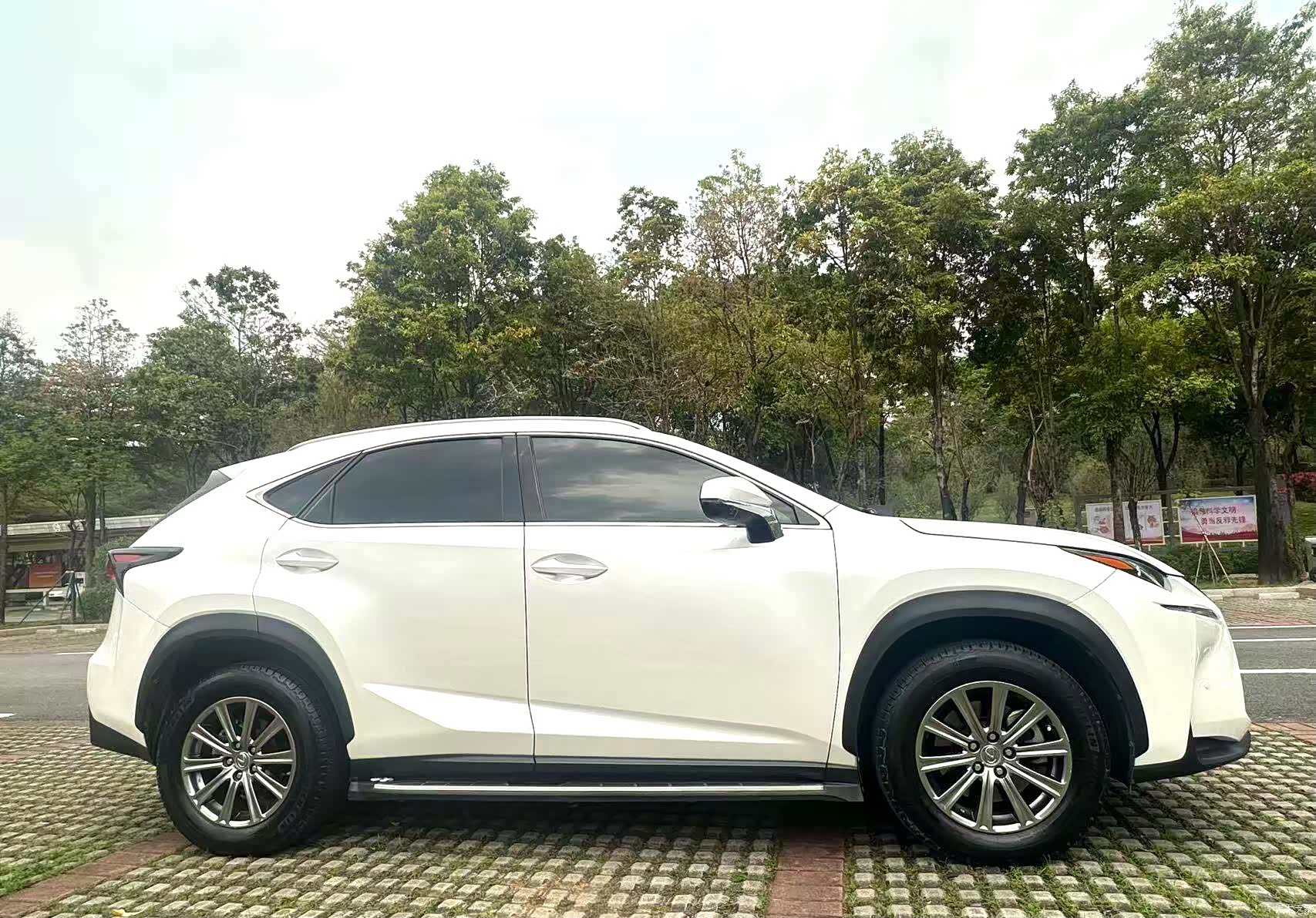 Lexus NX, 2017 все фото