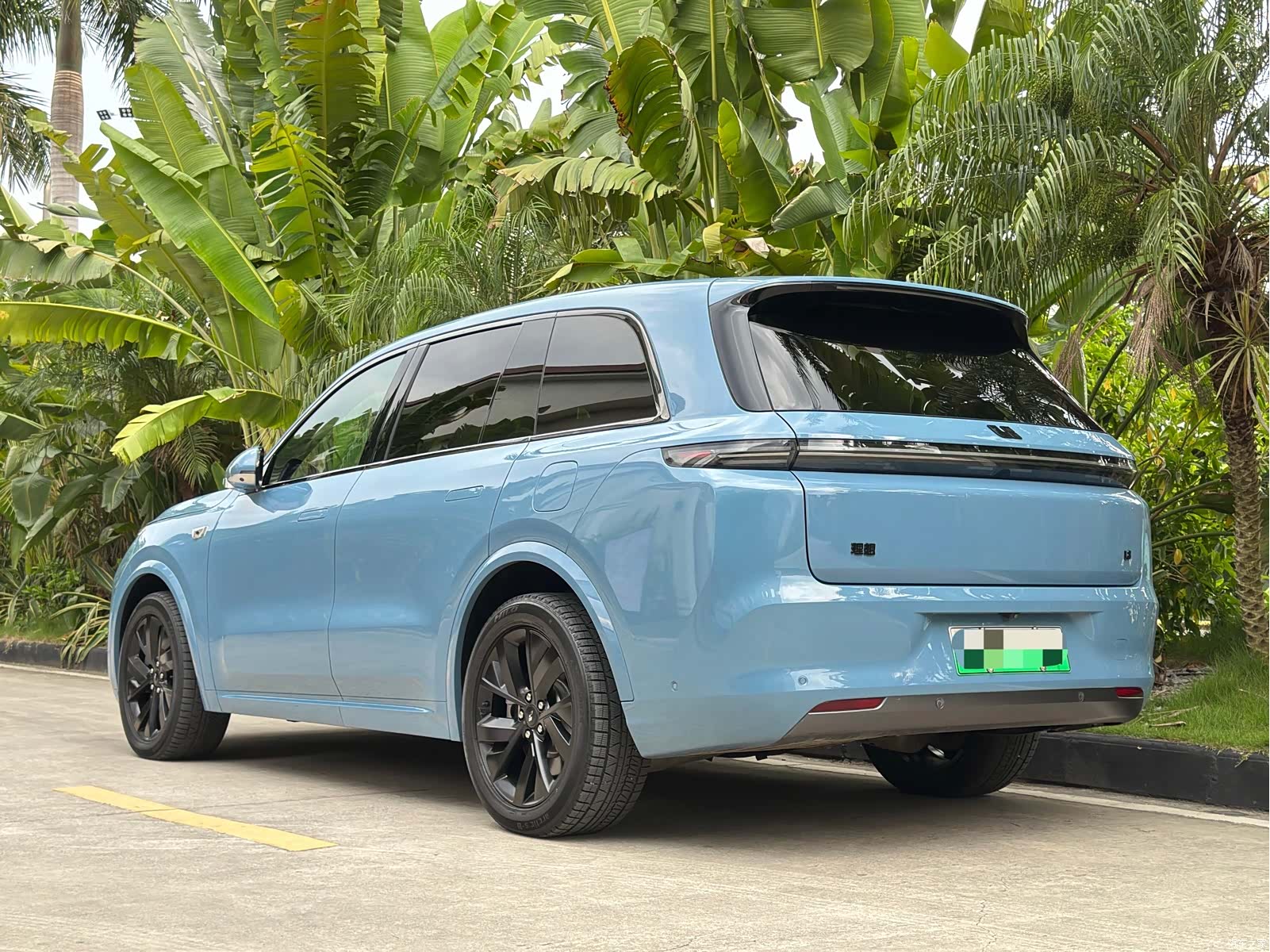 Li Auto L8, 2023 все фото