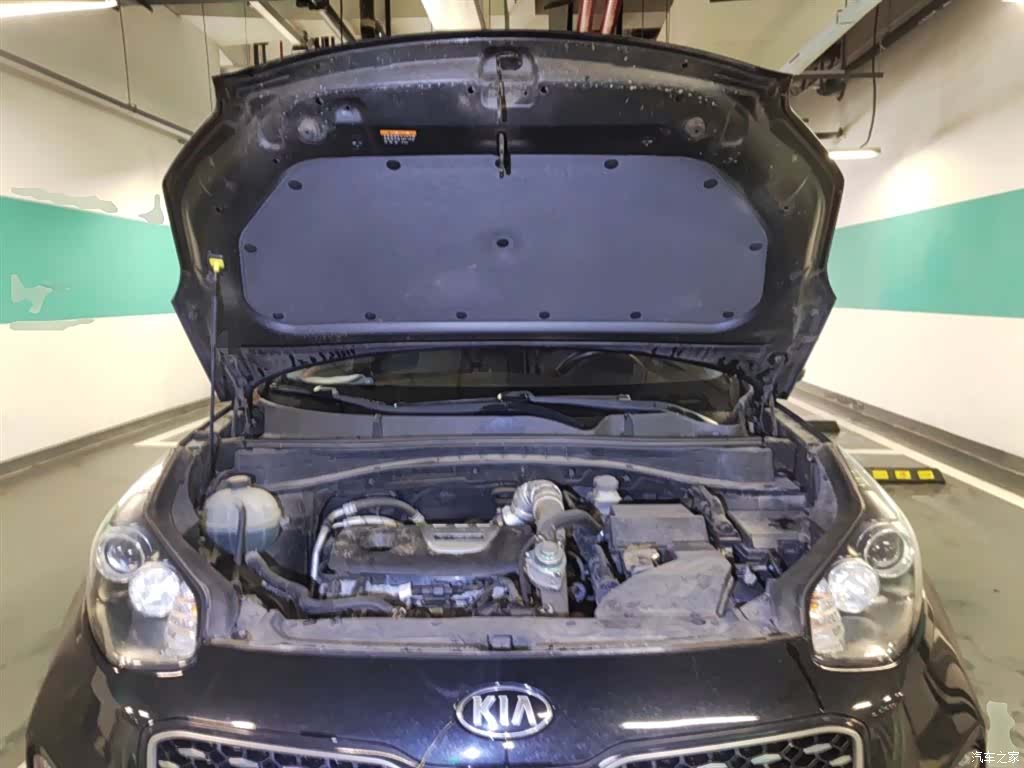 Kia KX5, 2016 11
