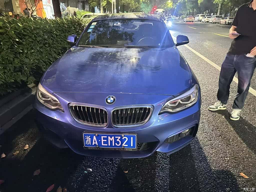 BMW 2 Series, 2015 2