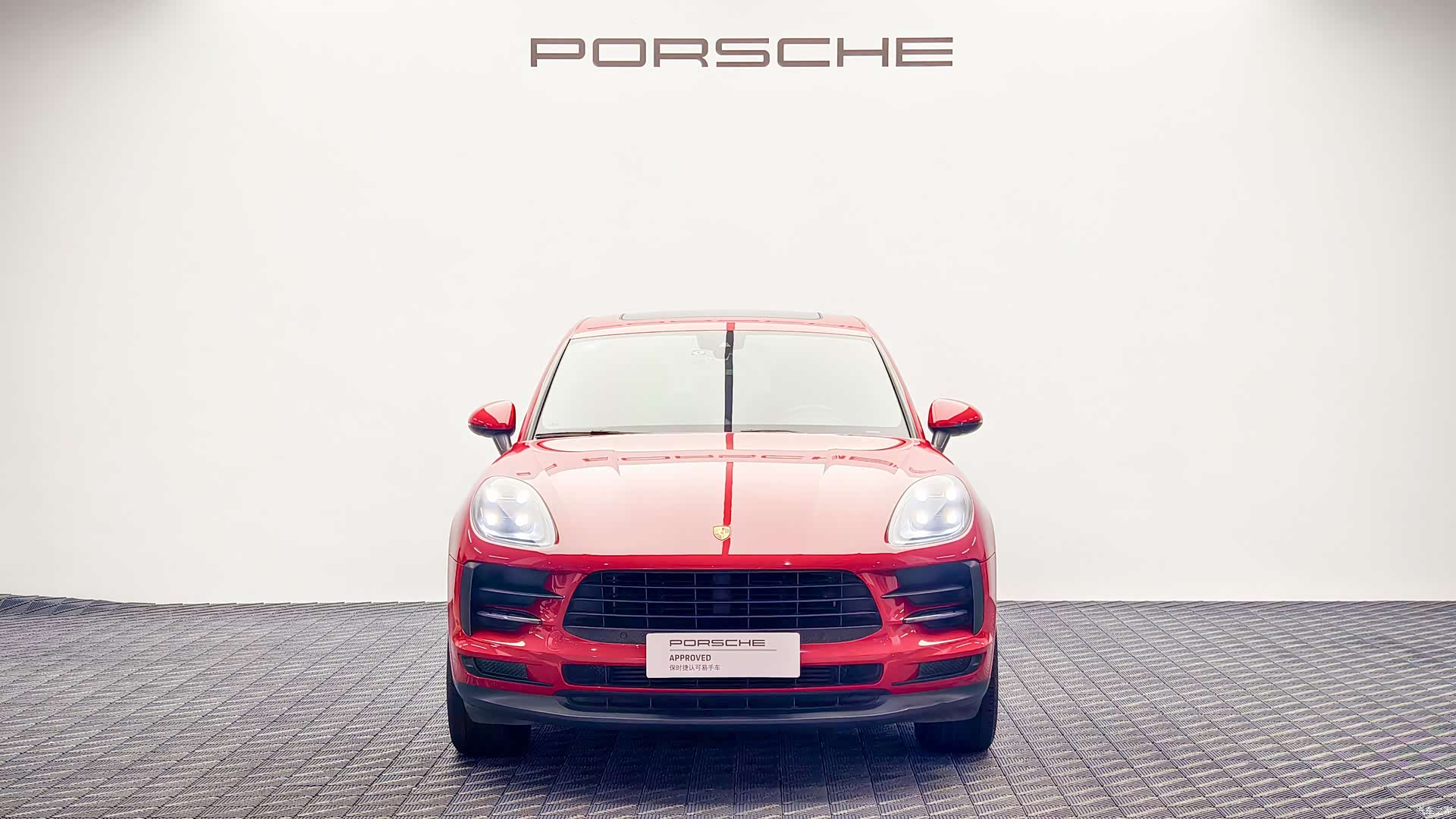 Macan Macan, 2019 2