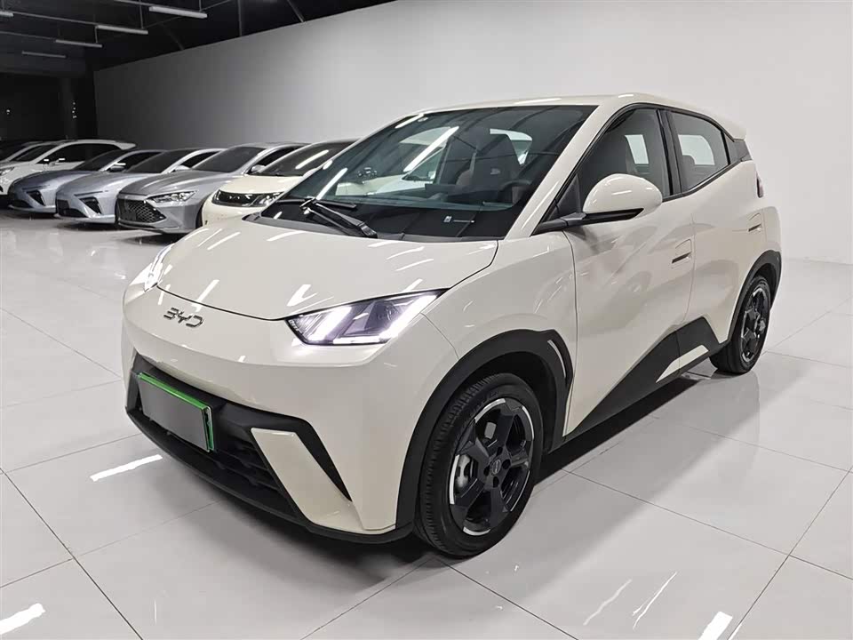 Shandong Texas Car