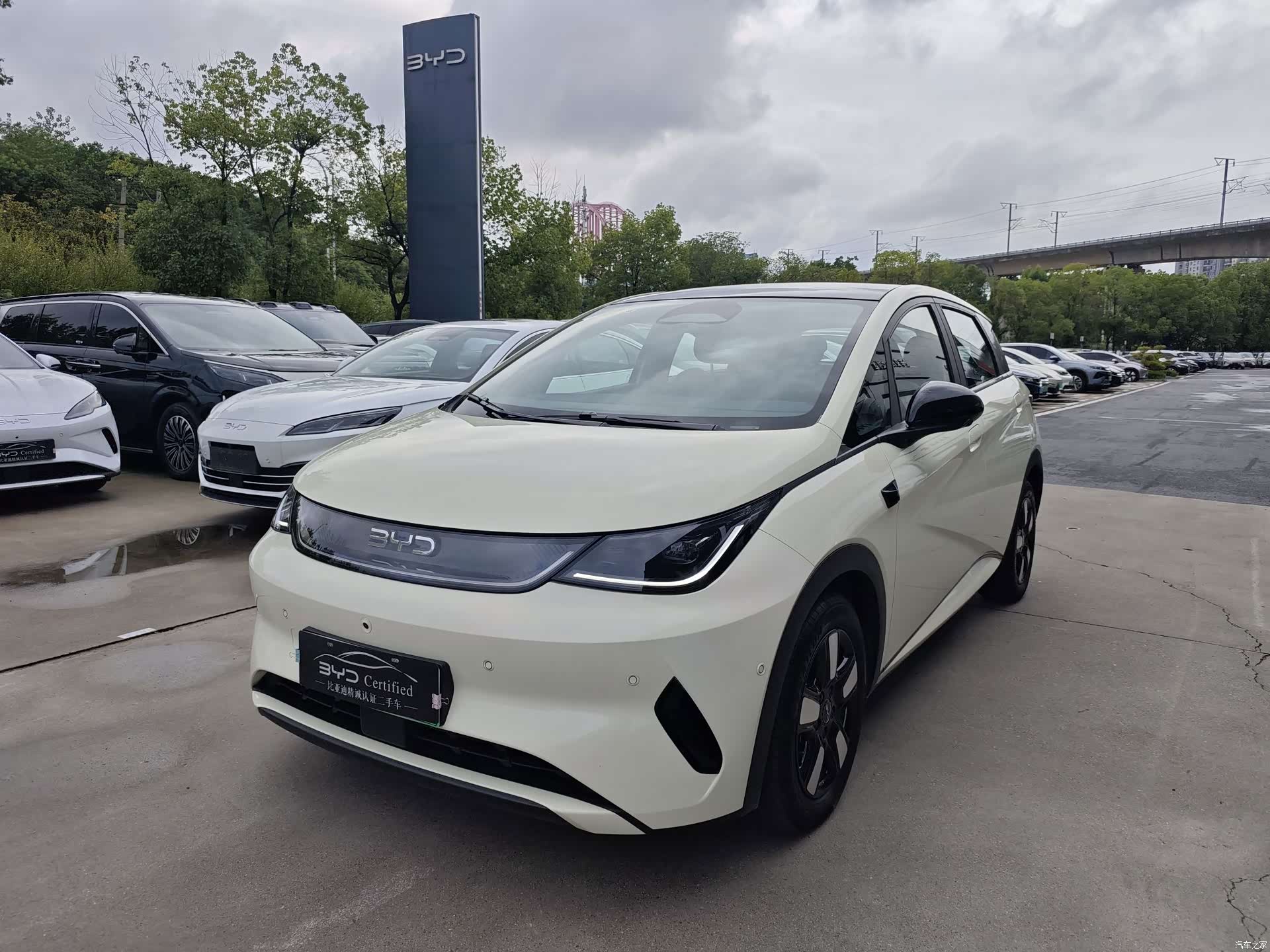BYD Dolphin, 2025 1