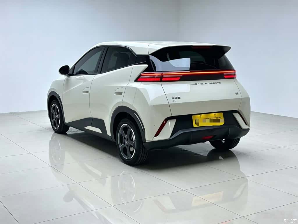 BYD Seagull, 2024 все фото