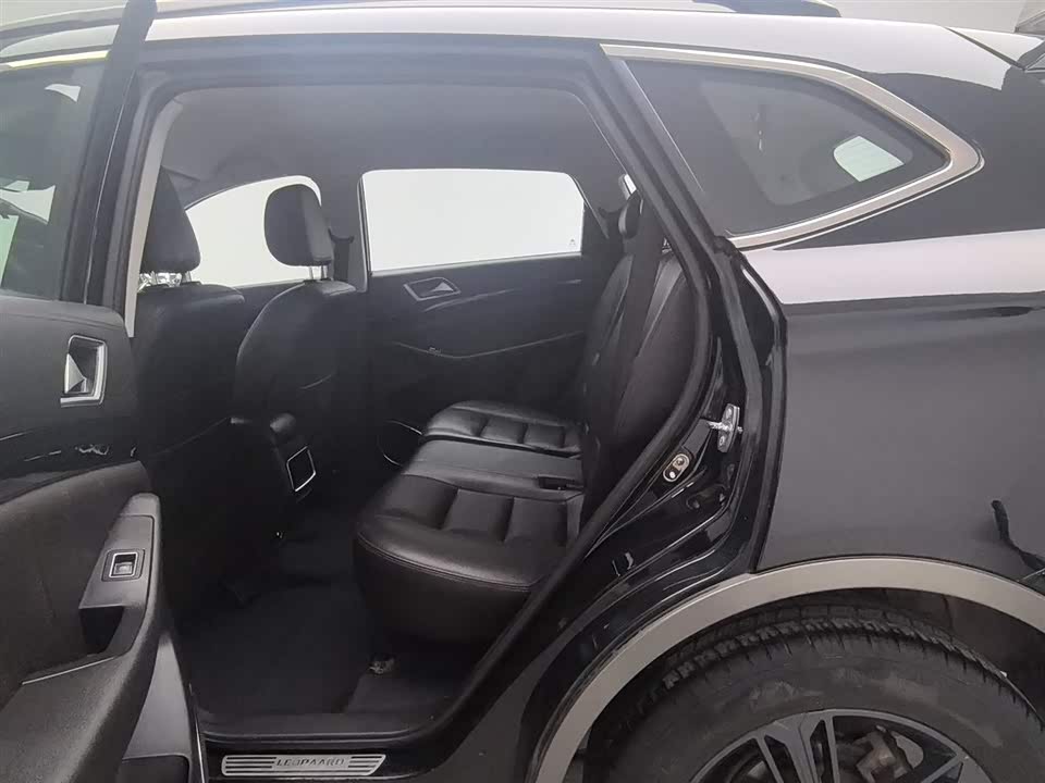 Leopaard Cheetah CS10