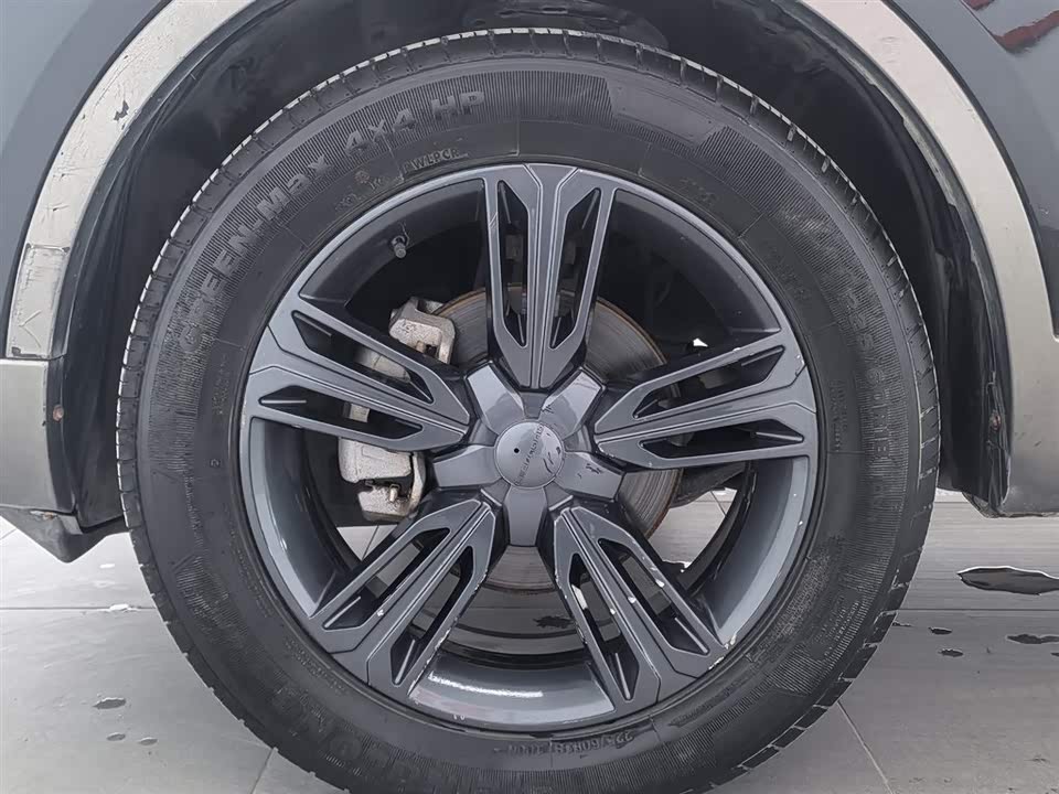 Leopaard Cheetah CS10