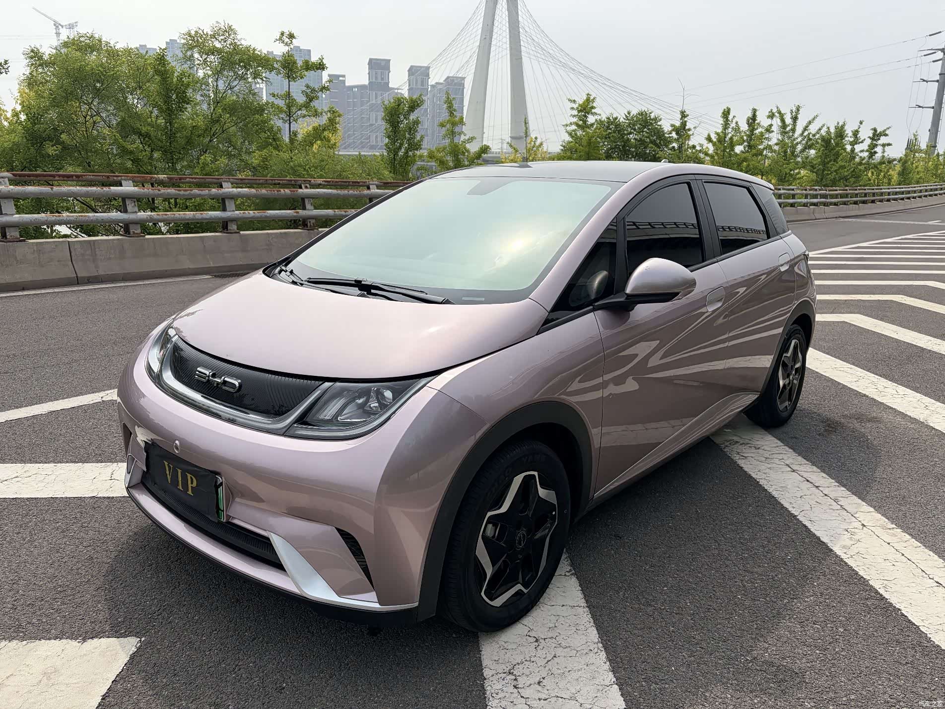 BYD Dolphin, 2023 1