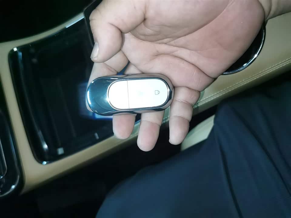 Leapmotor C11 Leapmotor C11
