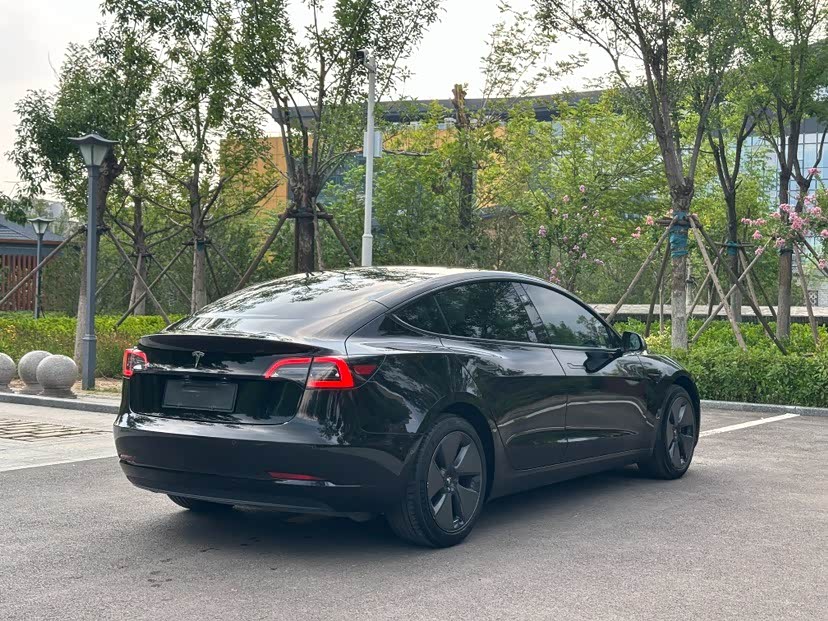 Tesla Model 3 Tesla Model 3