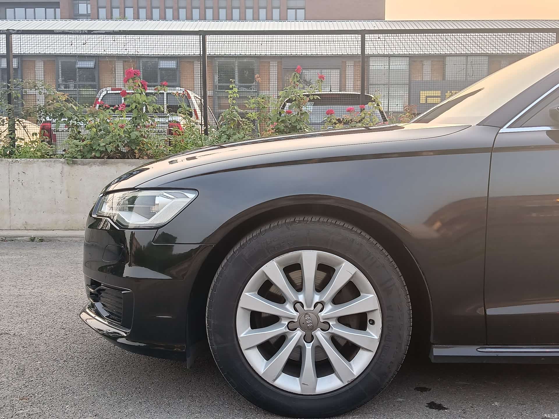Audi A6L, 2016 все фото