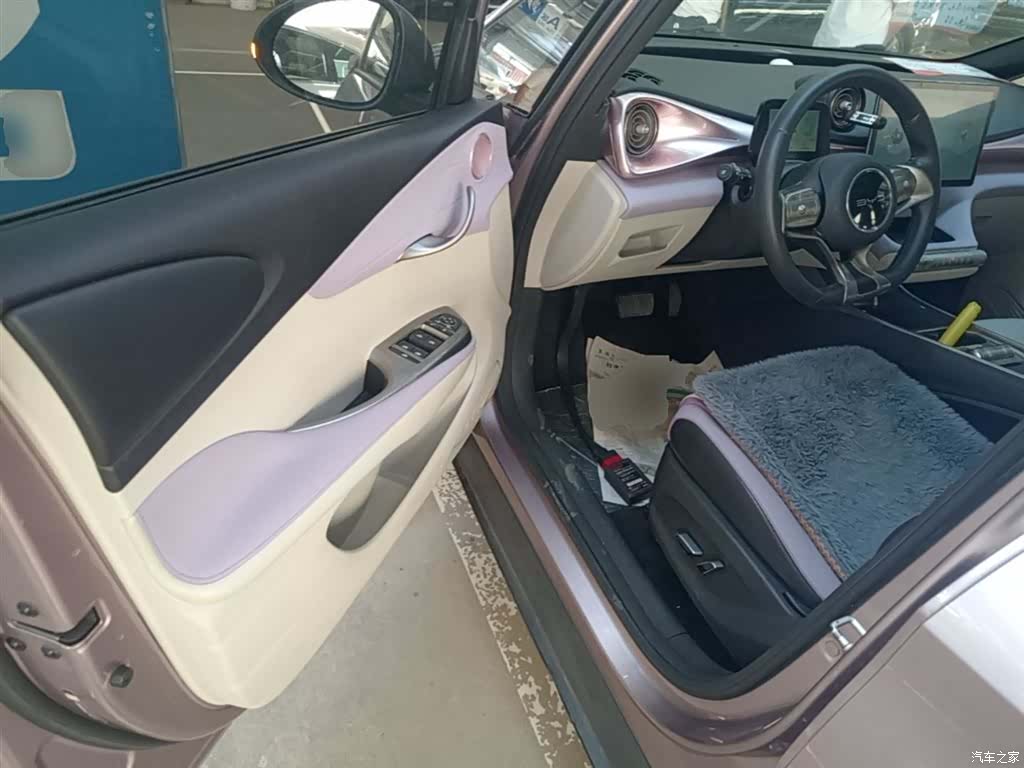 BYD Dolphin, 2022 16