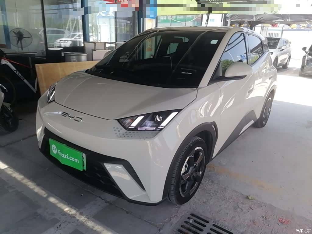 BYD Seagull, 2024 1