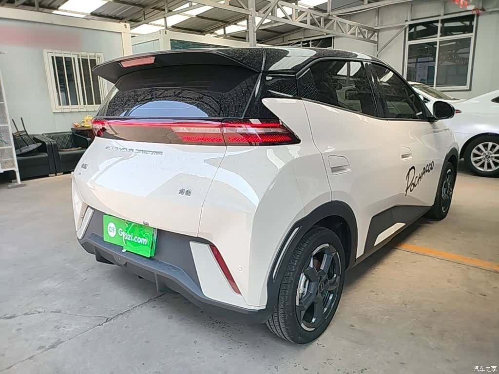 BYD Seagull, 2024 7