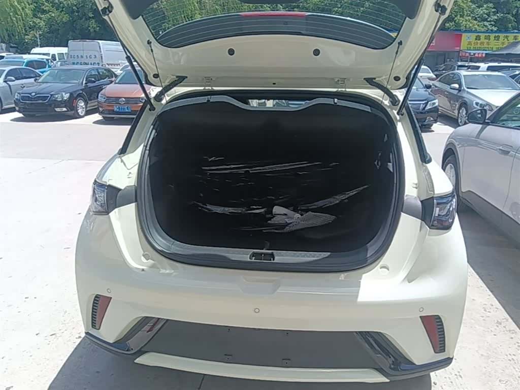 BYD Dolphin, 2026 19