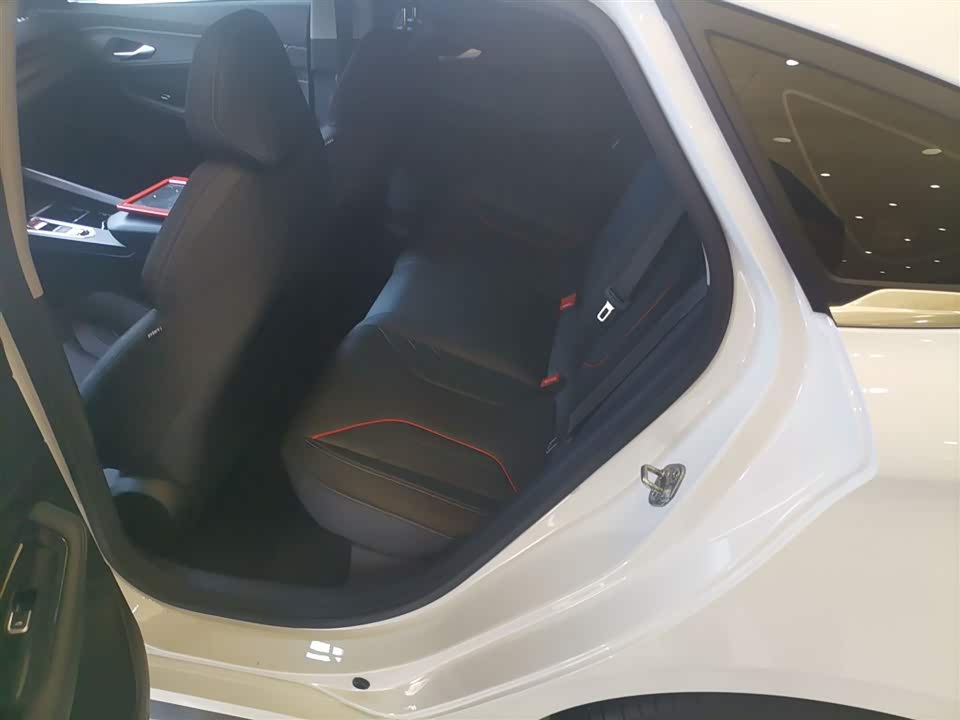 Geely Binrui