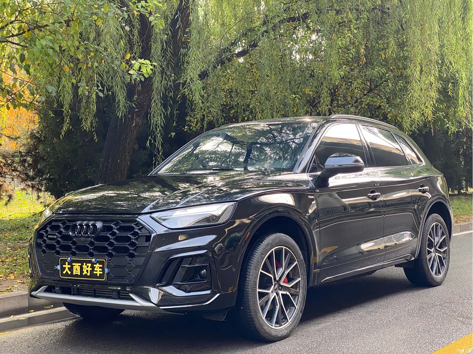 Audi Q5L, 2024 1