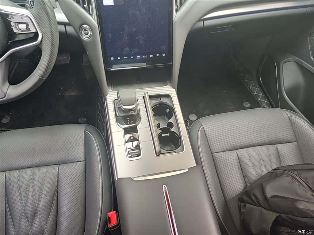 Hongqi HS7, 2024 14