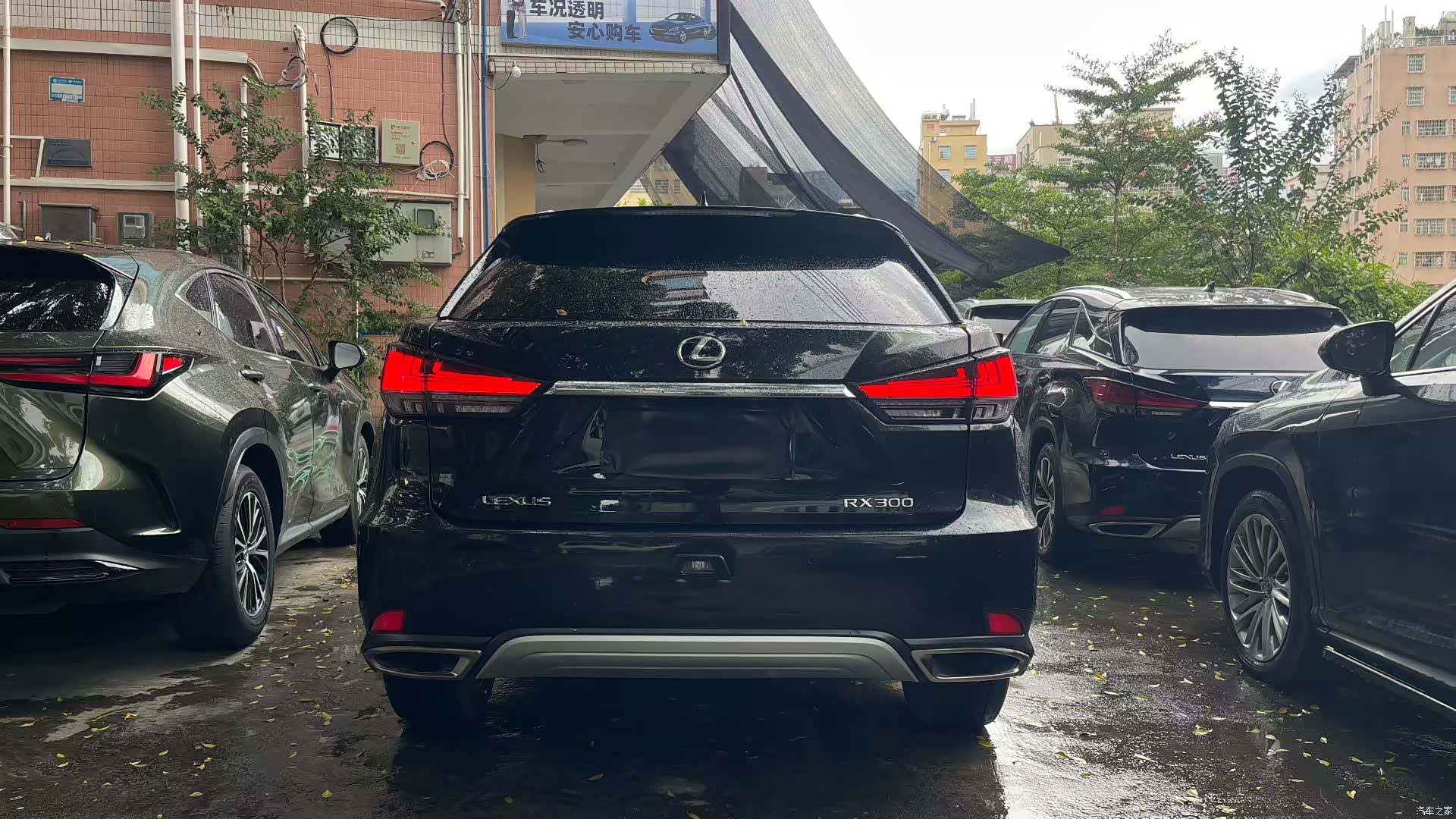 Lexus RX, 2022 9