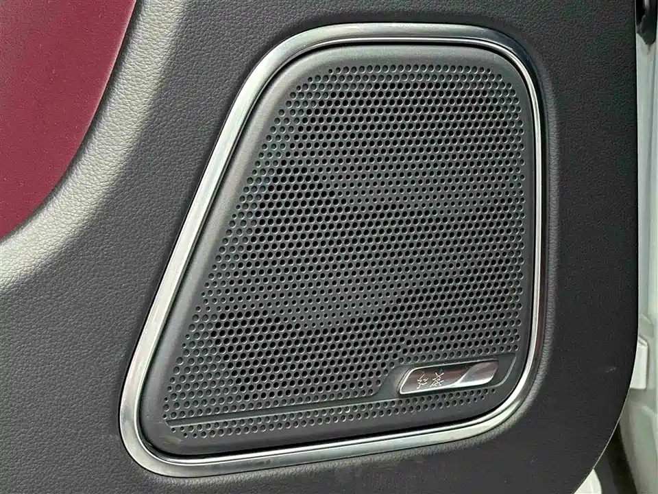 Hongqi E-HS9