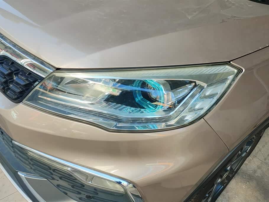 Leopaard Cheetah CS9