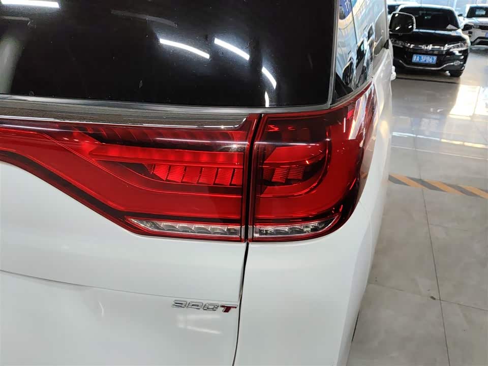 Trumpchi Trumpchi M8