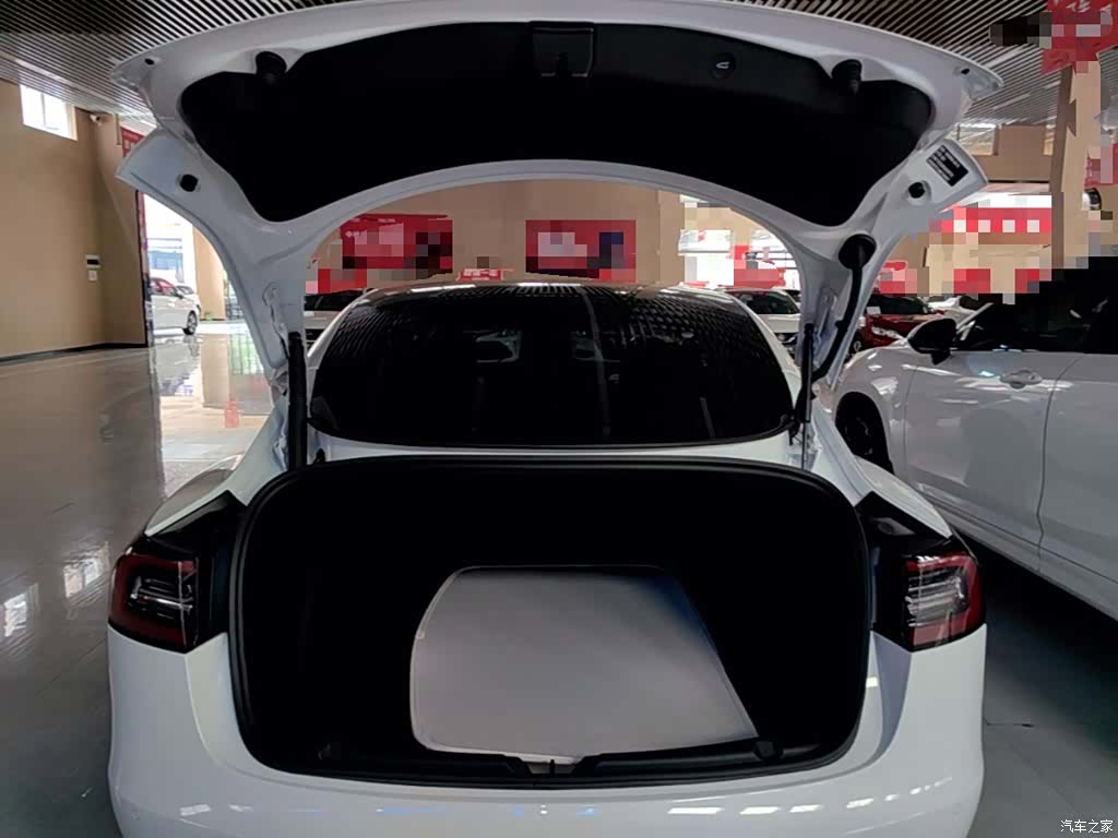 Tesla Model 3, 2021 19