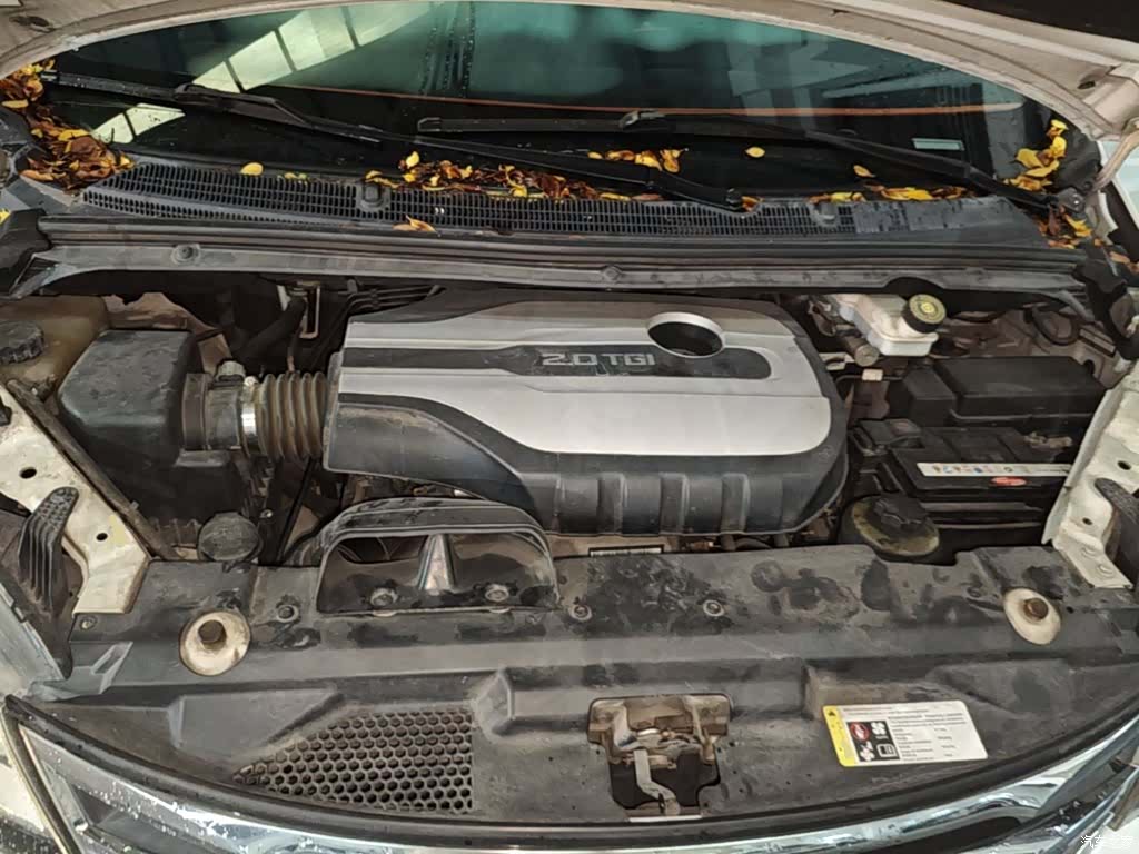 Maxus G10, 2019 20