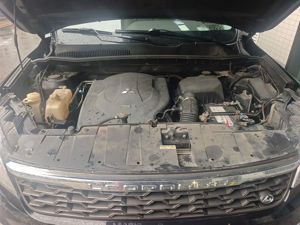 Leopaard Cheetah CS10