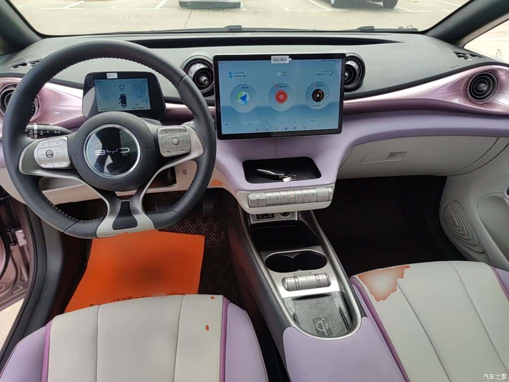BYD Dolphin, 2022 10