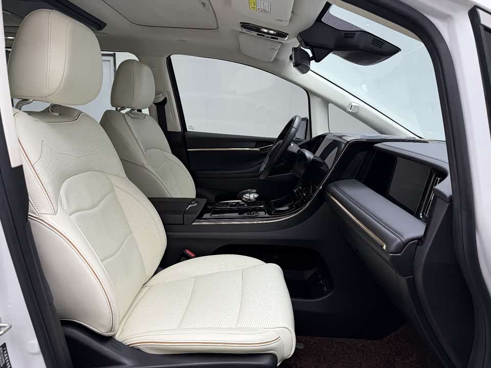 Trumpchi Trumpchi E9