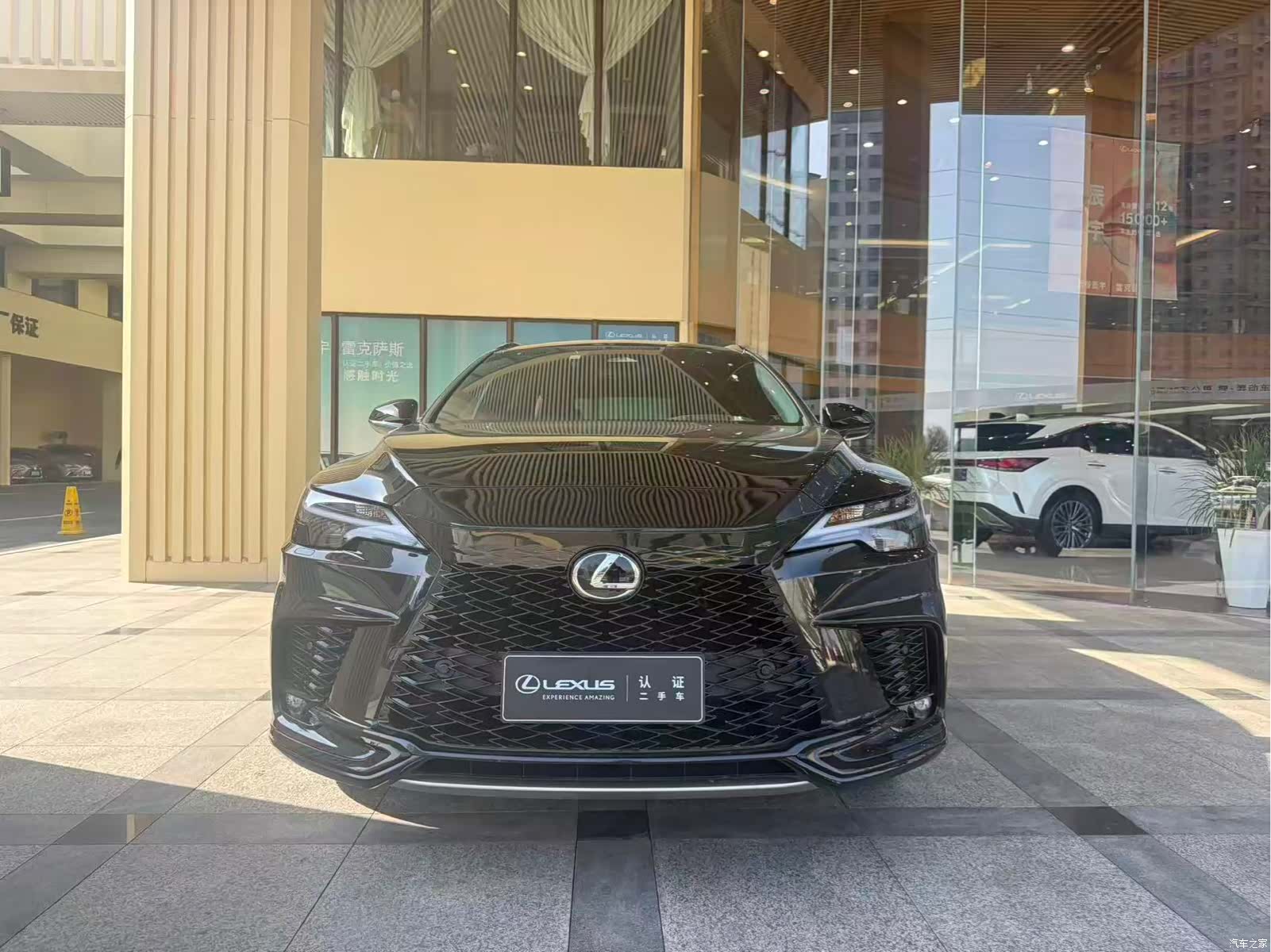 Lexus RX, 2024 2