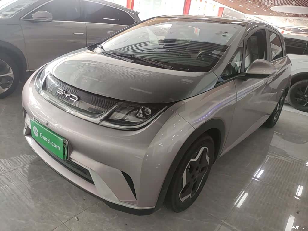 BYD Dolphin, 2022 1