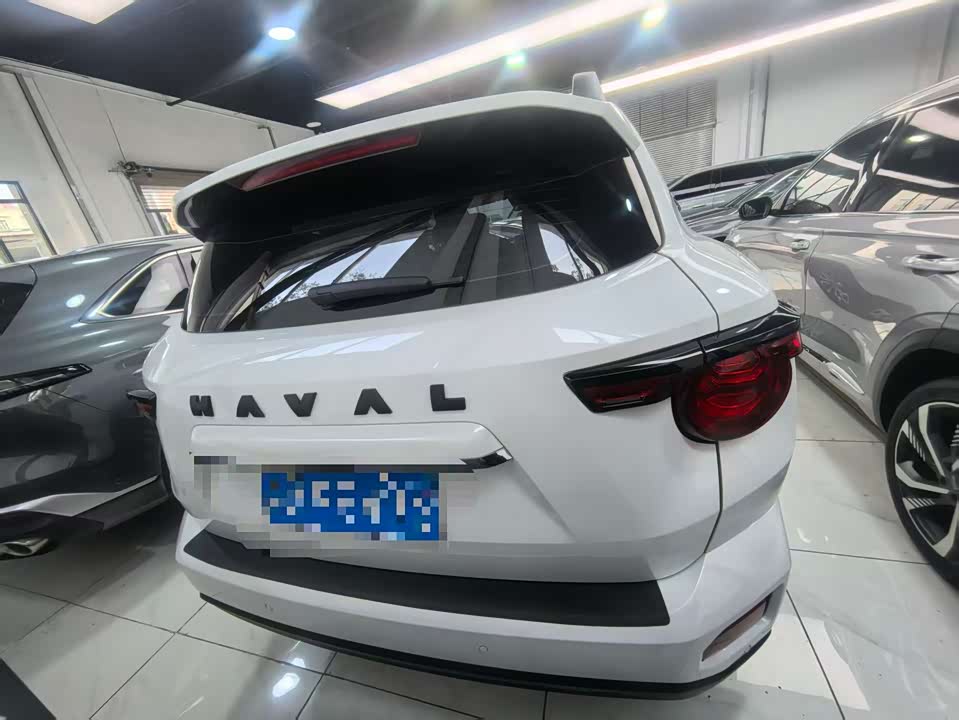 Haval Big Dog PLUS