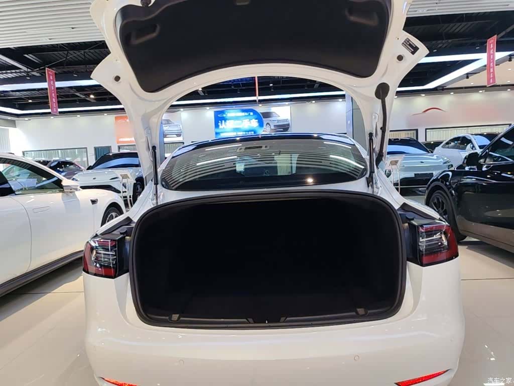 Tesla Model 3, 2020 19
