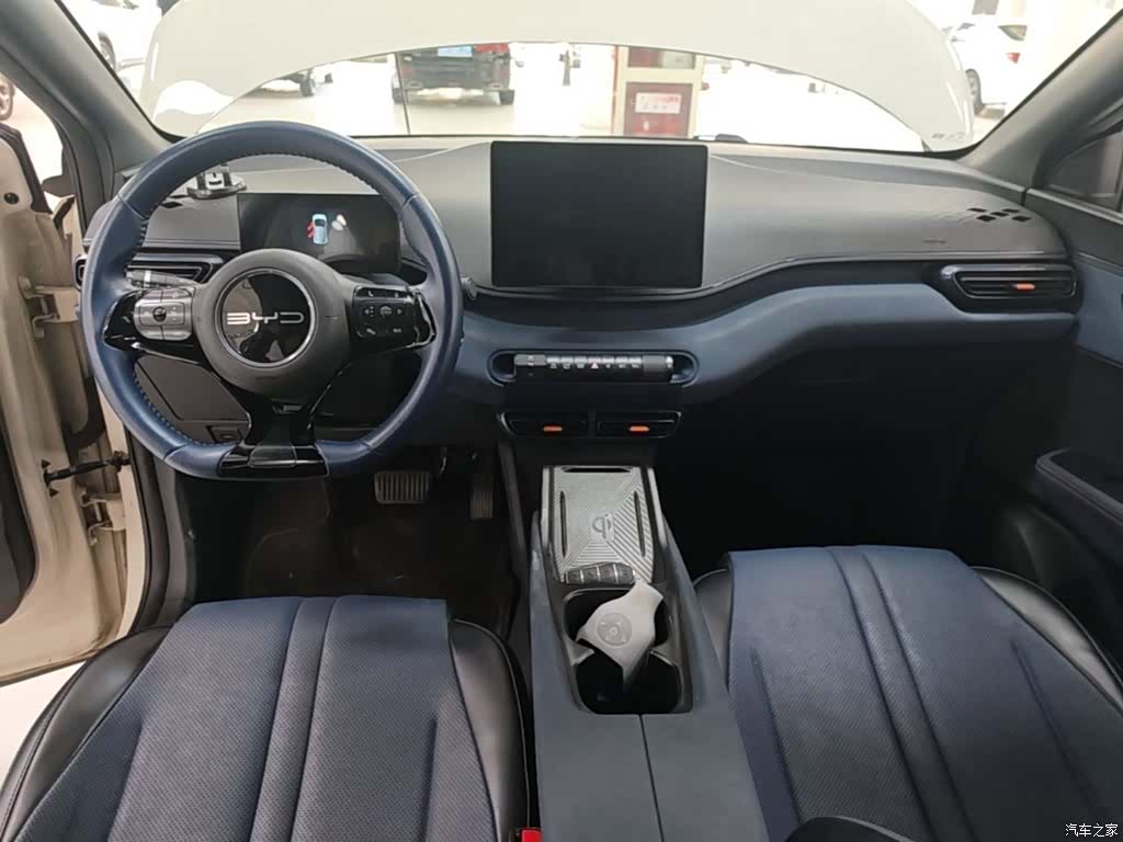 BYD Seagull, 2024 10