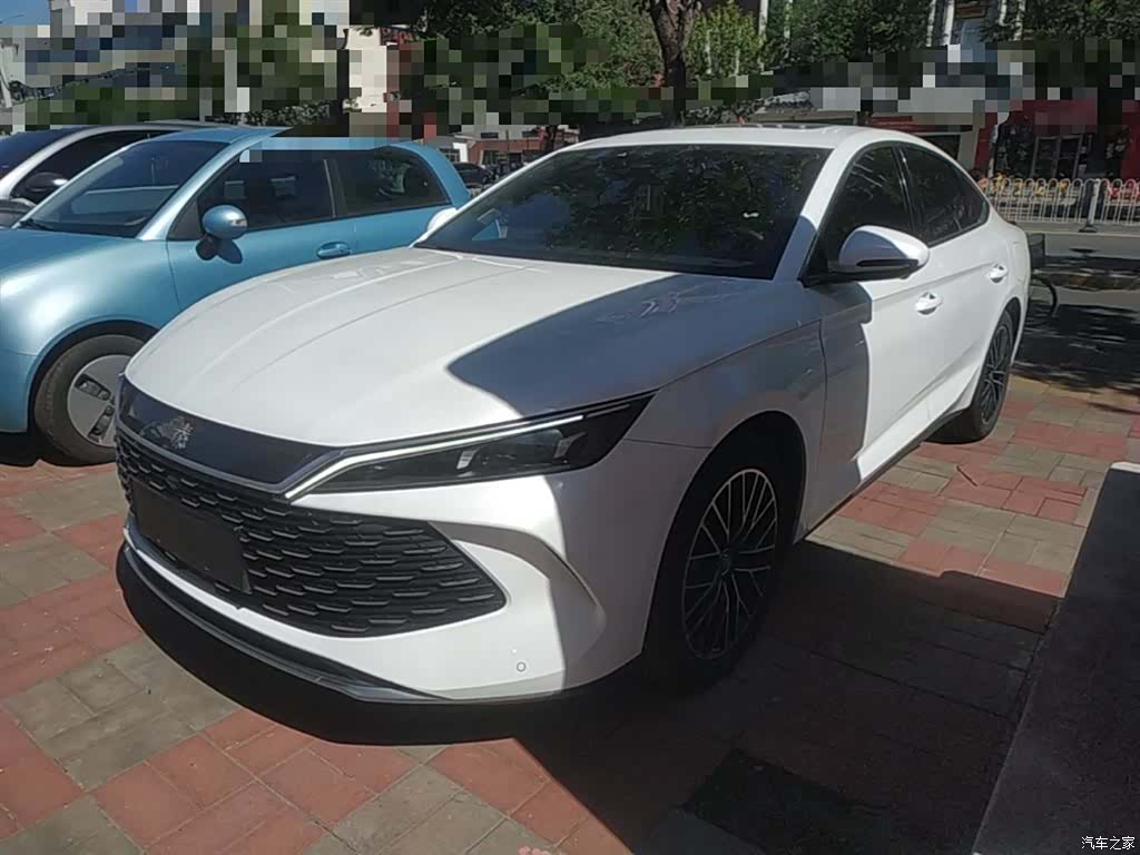 BYD Qin, 2024 1