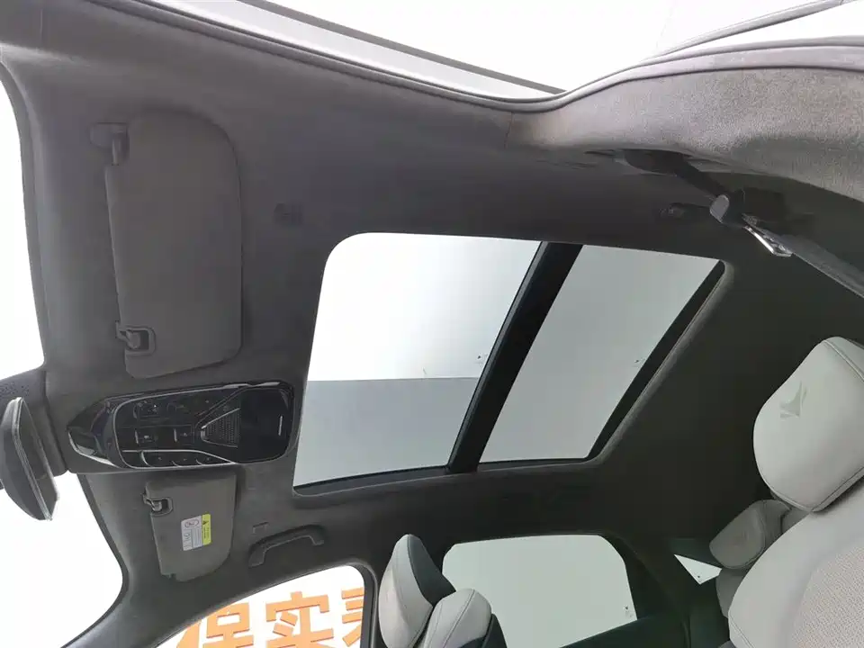 ARCFOX Polar Fox Alpha S