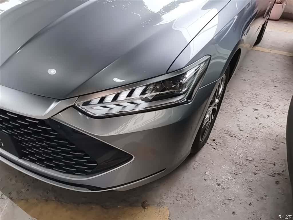 BYD Qin, 2023 24