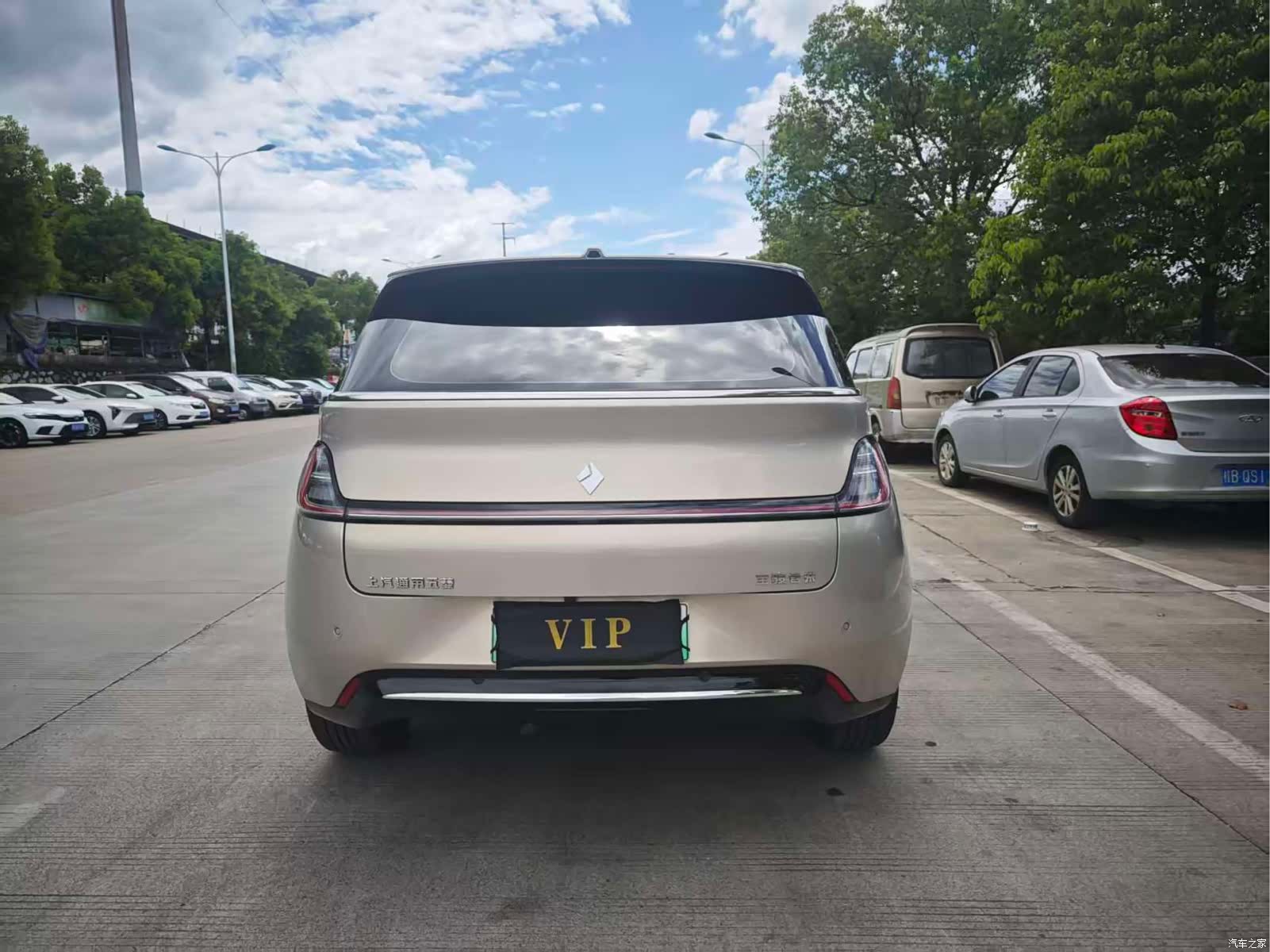 Wuling 460, 2024 8
