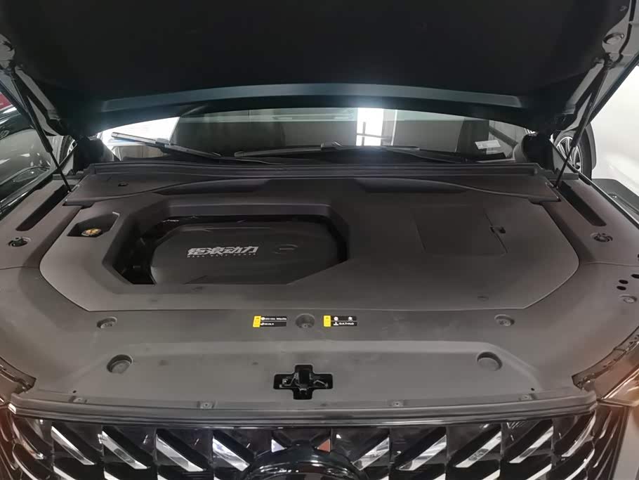 Trumpchi Trumpchi GS8 Trumpchi Trumpchi GS8