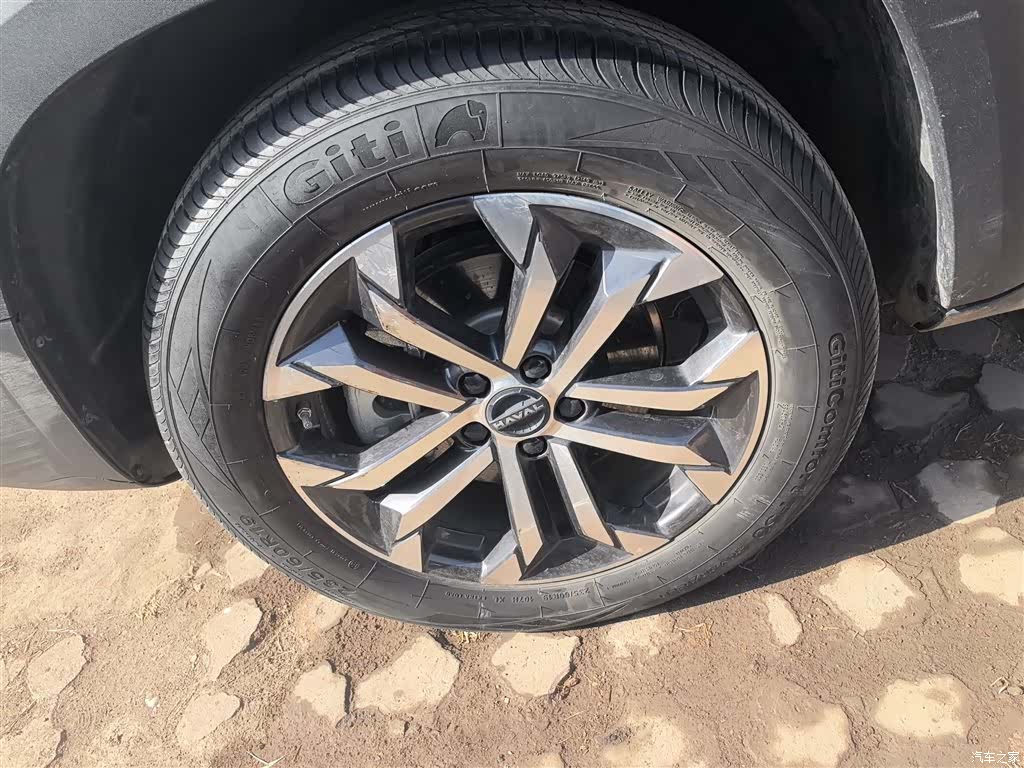 Haval Big Dog, 2024 23