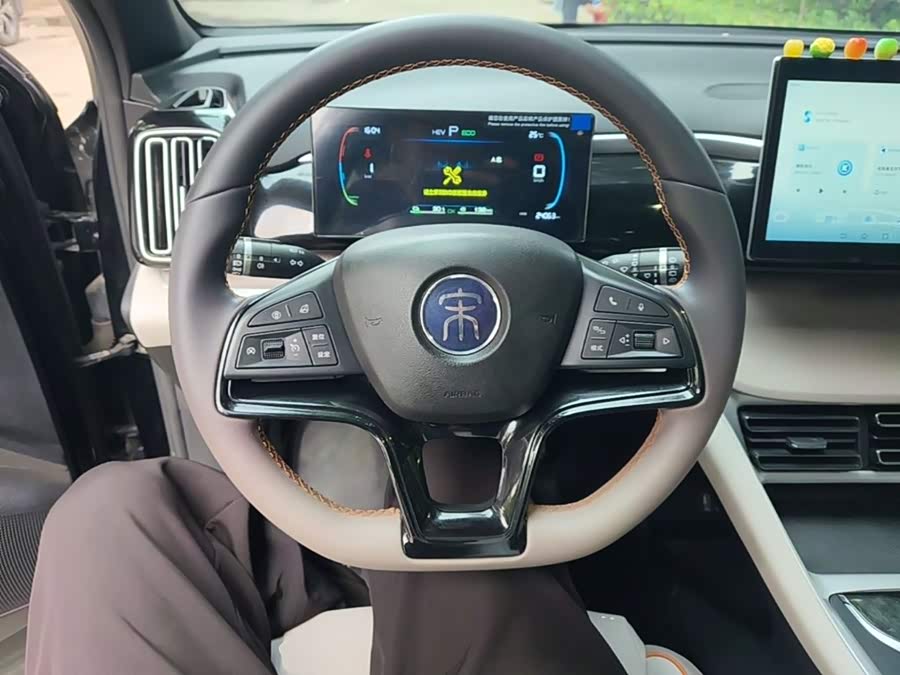 BYD Song Pro New Energy 2025, фото 11