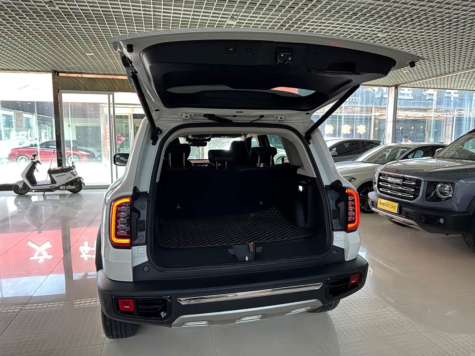 Haval Big dog