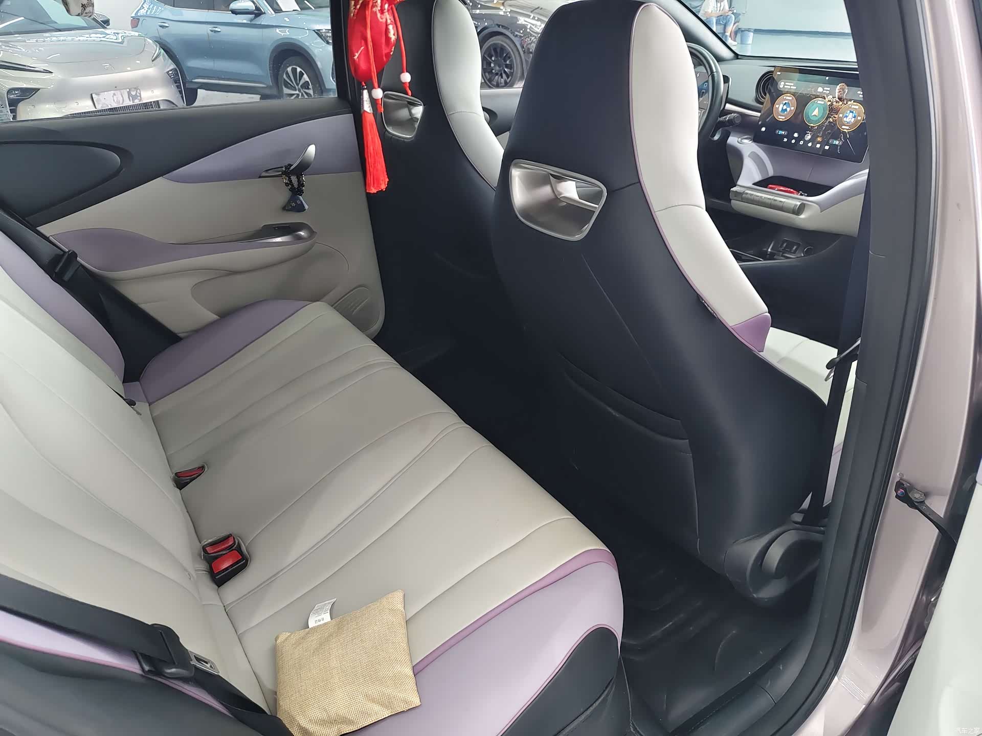 BYD Dolphin, 2022 13