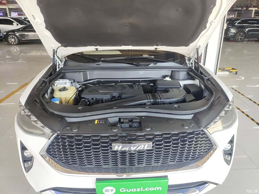 Haval F7, 2019 20